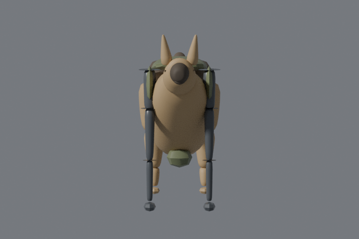 K9 front view