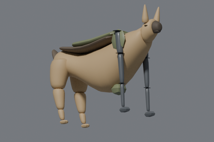 K9 low camera view