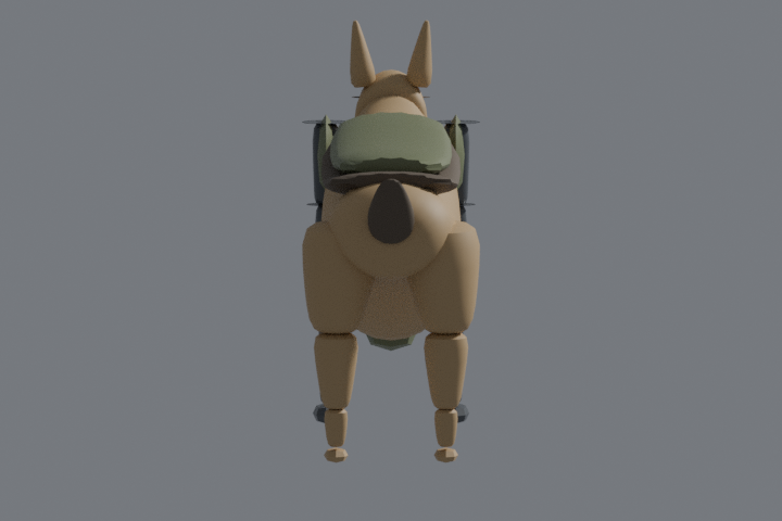 K9 rear view